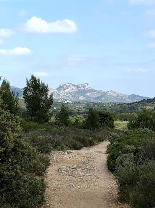 La Pitchoune : Gite Aux Pieds Des Alpilles Mouries Zewnętrze zdjęcie