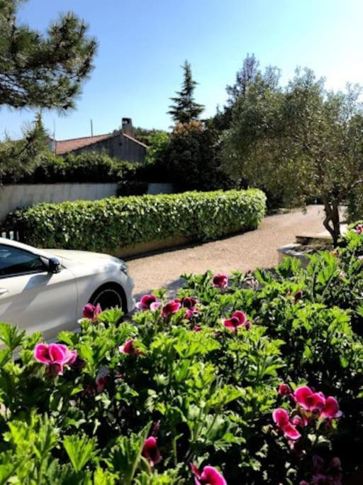 La Pitchoune : Gite Aux Pieds Des Alpilles Mouries Zewnętrze zdjęcie